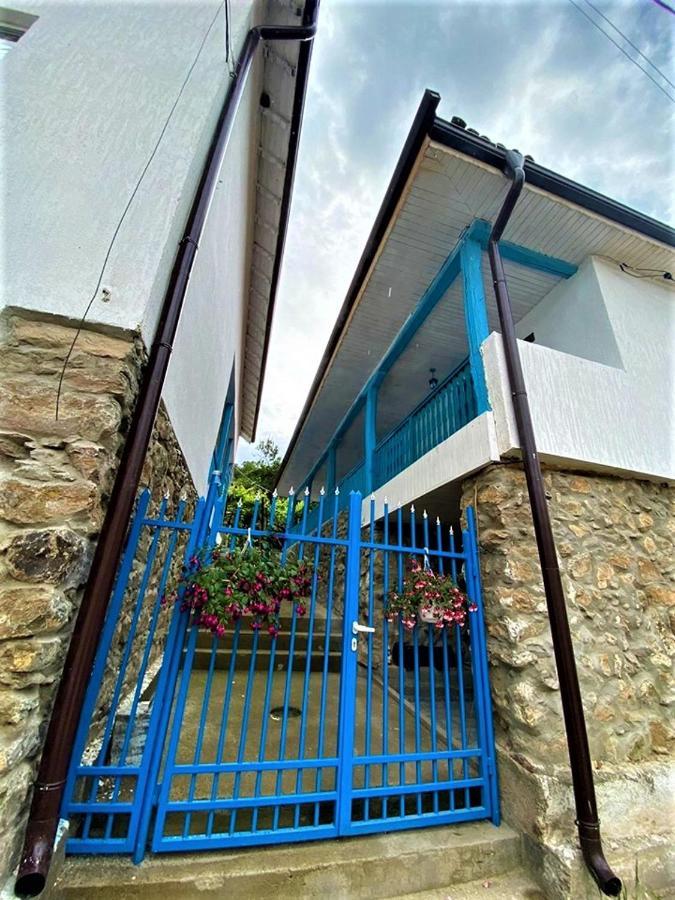 ホテルЦяла Ваканционна Къща- Florina Houses Goranovtsi エクステリア 写真