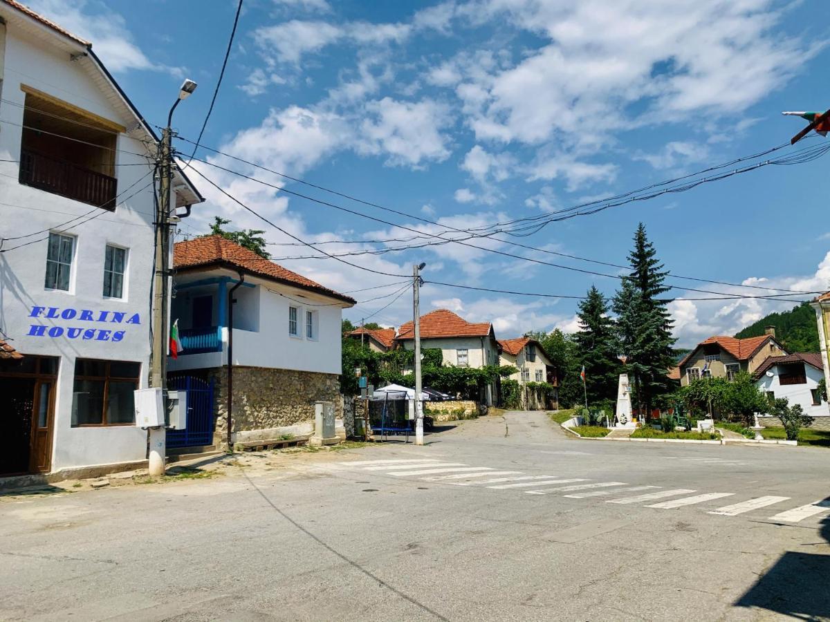 ホテルЦяла Ваканционна Къща- Florina Houses Goranovtsi エクステリア 写真