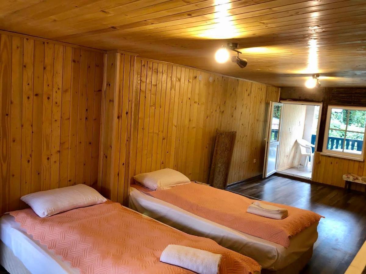 ホテルЦяла Ваканционна Къща- Florina Houses Goranovtsi エクステリア 写真